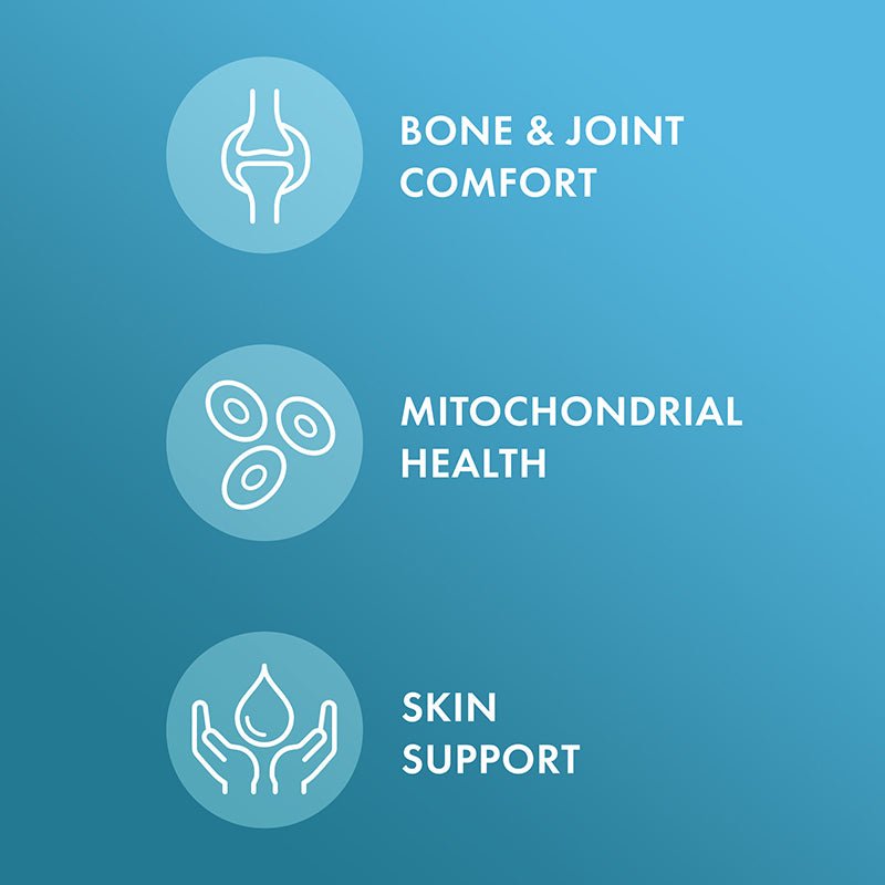 Dr. Mercola Joint Formula 30 Tablets - JING Organics