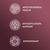 Dr. Mercola NAC with Milk Thistle 60 Capsules - JING