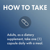 Dr. Mercola Zinc plus Selenium 90 Capsules - JING Organics