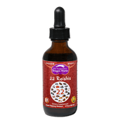 Dragon Herbs 22 Reishi Drops 60ml - JING Organics