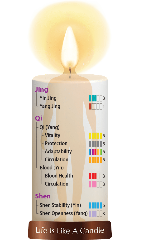 Dragon Herbs 22 Reishi Drops 60ml - JING Organics