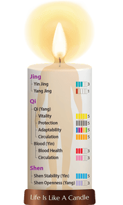 Dragon Herbs 22 Reishi Drops 60ml - JING Organics