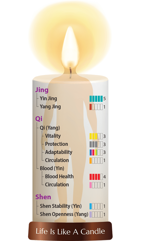 Dragon Herbs Ant Essence 100 Capsules - JING Organics