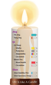 Dragon Herbs Ant Essence 100 Capsules - JING Organics