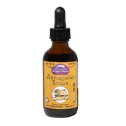 Dragon Herbs Astragalus Drops 60ml - JING Organics