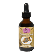 Dragon Herbs Eucommia Bark Drops 60ml - JING Organics