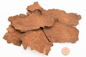 Dragon Herbs He Shou Wu 100 Capsules - JING Organics