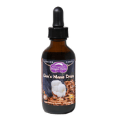 Dragon Herbs Lion's Mane Drops 60ml - JING Organics
