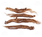 Dragon Herbs Organic Changbai Mountain Red Ginseng Extract 100 Capsules - JING Organics