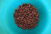 Dragon Herbs Organic Changbai Mountain Schizandra Fruit 5 oz. - JING Organics