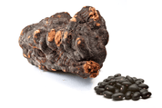 Dragon Herbs Tom Kat 100 Capsules - JING Organics