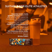 Happify Organic Nutritional Protein Bar - JING