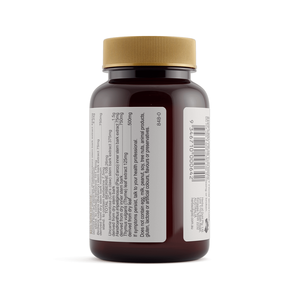 Herbs of Gold Berberine ImmunoPlex 30 Tablets - JING