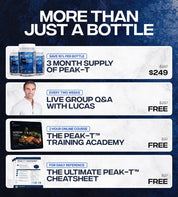 INB4 PEAK-T Testosterone Support 90 Capsules - JING