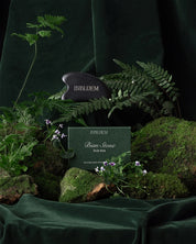 INBLUEM Bian Stone Gua Sha - JING Organics