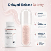 Lactoferrin Co. Lactoferrin Powder Capsule 300mg 60 Capsules - JING