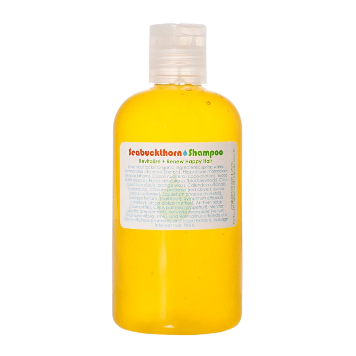 living-libations-seabuckthorn-shampoo-240ml.png