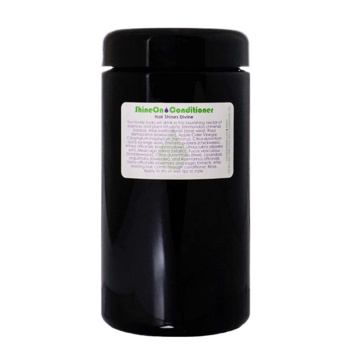 Living Libations Shine On Conditioner In Violet glass 500ml - JING Organics