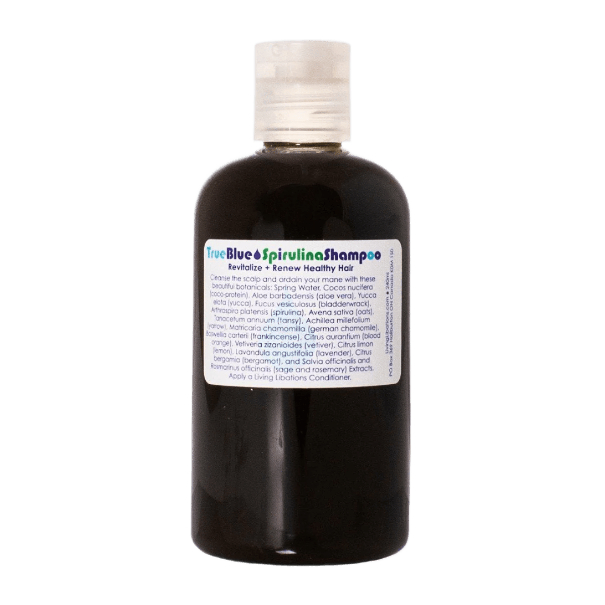 Living Libations True Blue Shampoo 240ml - JING Organics