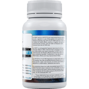 LVLUP Health AC Fragments 60 Capsules - JING Organics
