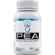 LVLUP Health PEA 500mg 60 Capsules - JING Organics