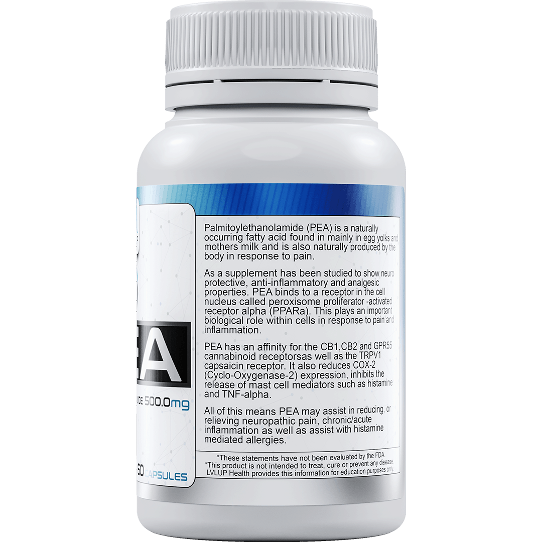 LVLUP Health PEA 500mg 60 Capsules - JING Organics