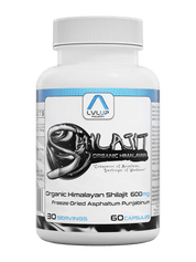 LVLUP Health Shilajit 60 Capsules - JING Organics