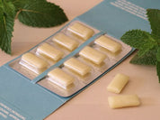 Mast Chew Organic Plant Based Chewing Gum Mint 16 pieces - JING Organics