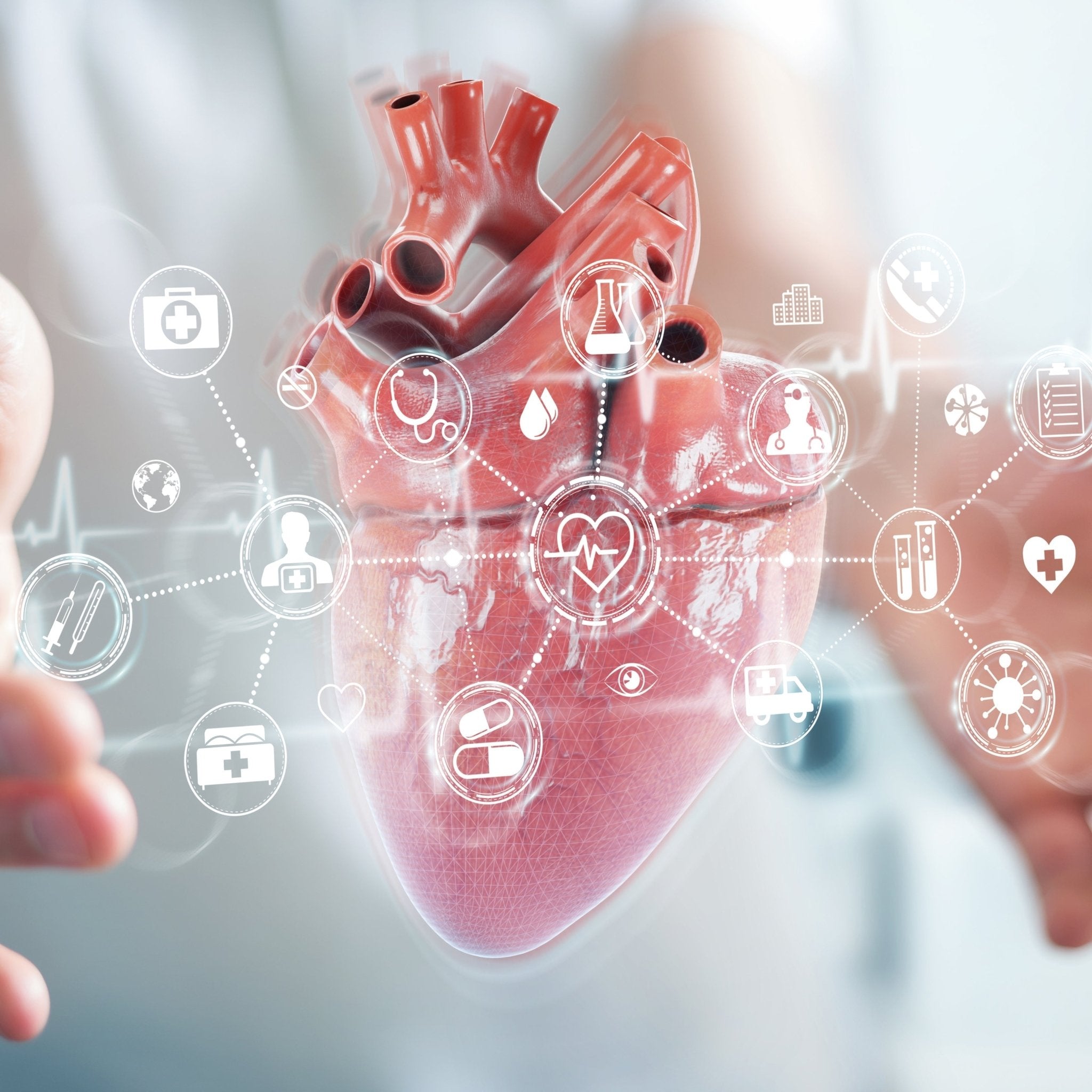 Micronutrition LipoCap Resveratrol 30 Capsules - JING Organics