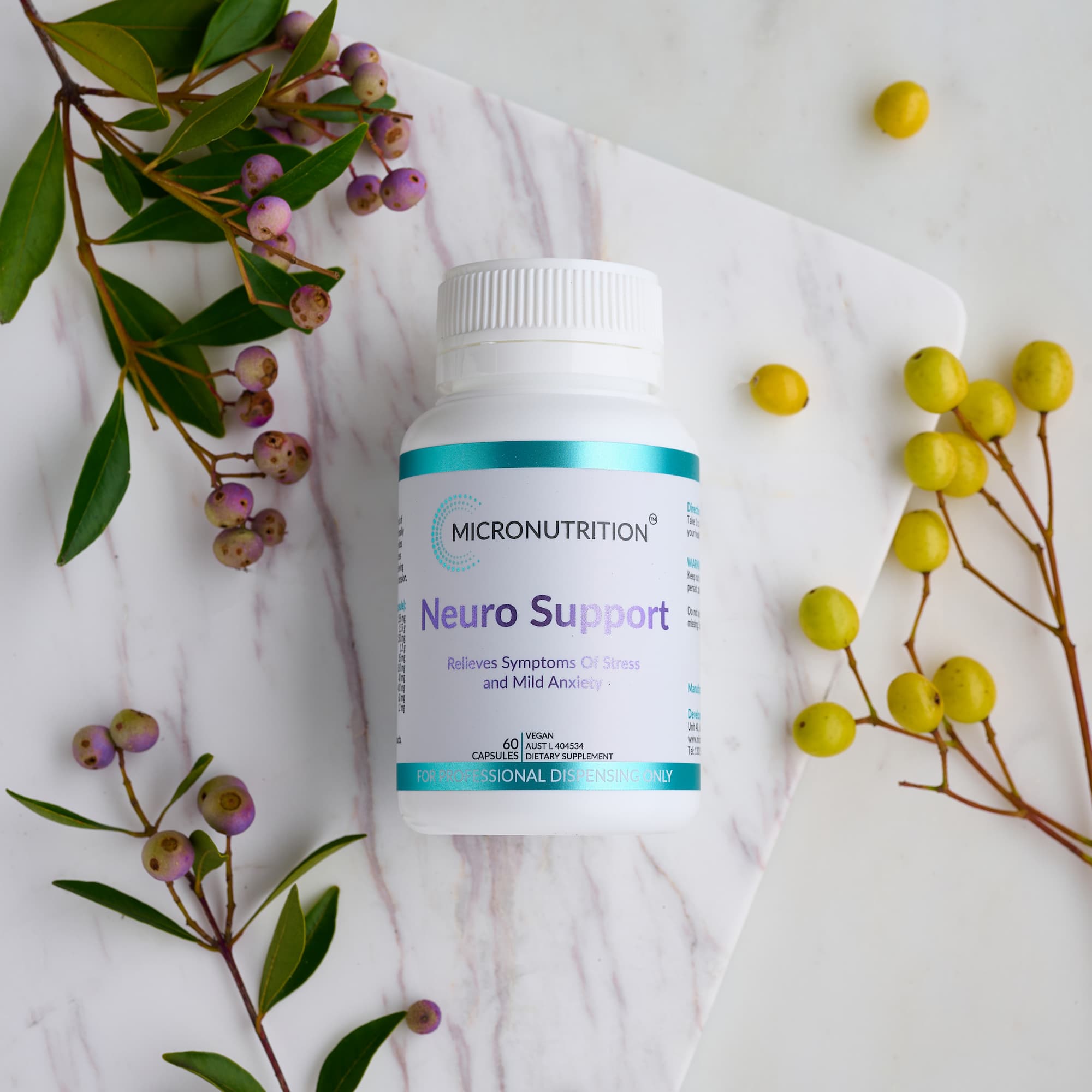 Micronutrition Neuro Support 60 Capsules - JING Organics