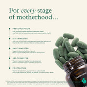 Mother Natal Complete Support 60 Tablets - JING