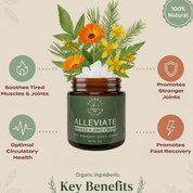 Natural Artform Alleviate Muscle & Joint Cream 120g - JING Organics