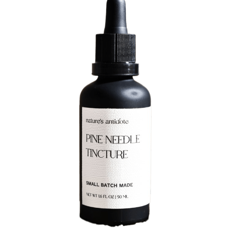 Nature's Antidote Pine Needle Tincture 50ml - JING Organics