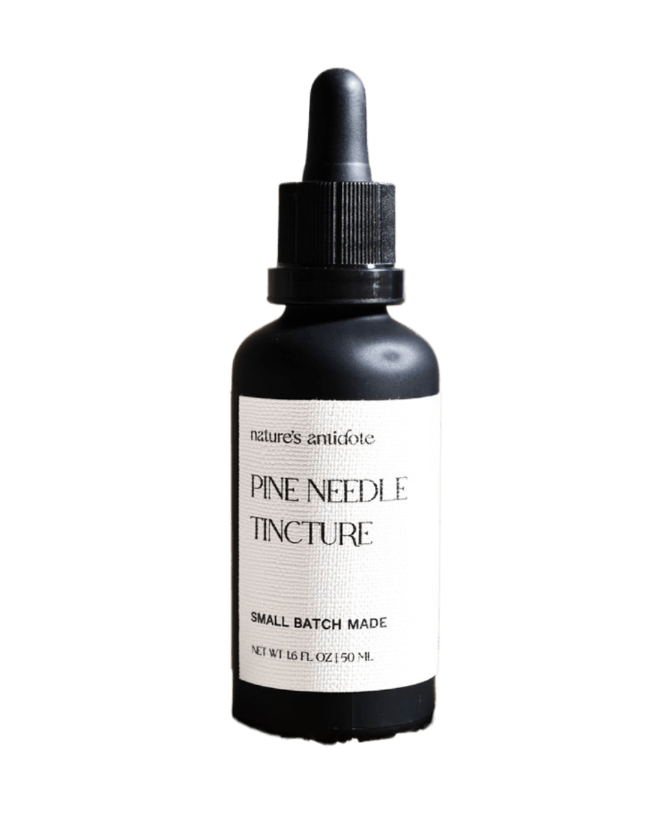 Nature&#39;s Antidote Pine Needle Tincture 50ml - JING Organics