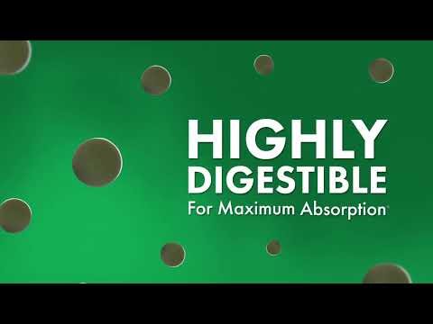 Dr. Mercola Fermented Chlorella 450 Tablets