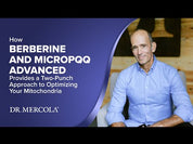 Dr. Mercola Berberine and MicroPQQ 90 Capsules