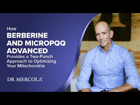 Dr. Mercola Berberine and MicroPQQ 90 Capsules