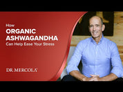 Dr. Mercola Ashwagandha 60 Capsules