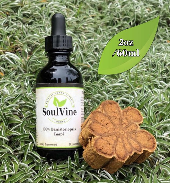 Soul Vine Banisteriopsis Caapi 60ml - JING Organics