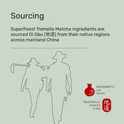 Superfeast Tremella Matcha 80g - JING