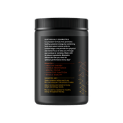 Surthrival Biamatrix Pre - Workout Powder 318g - JING Organics