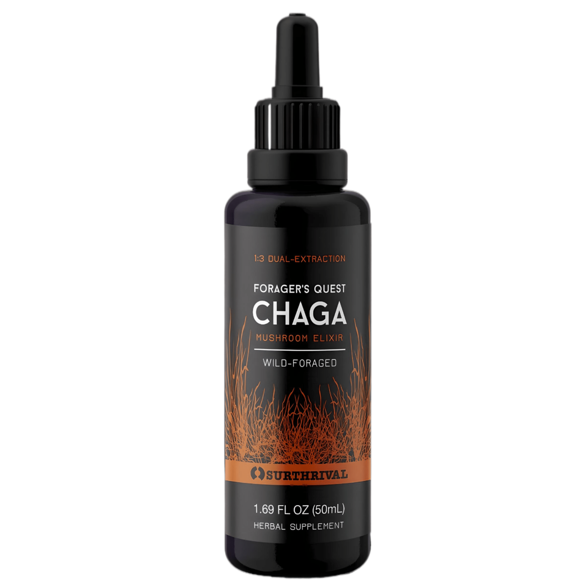 Surthrival Foragers Quest Chaga 50ml - JING Organics