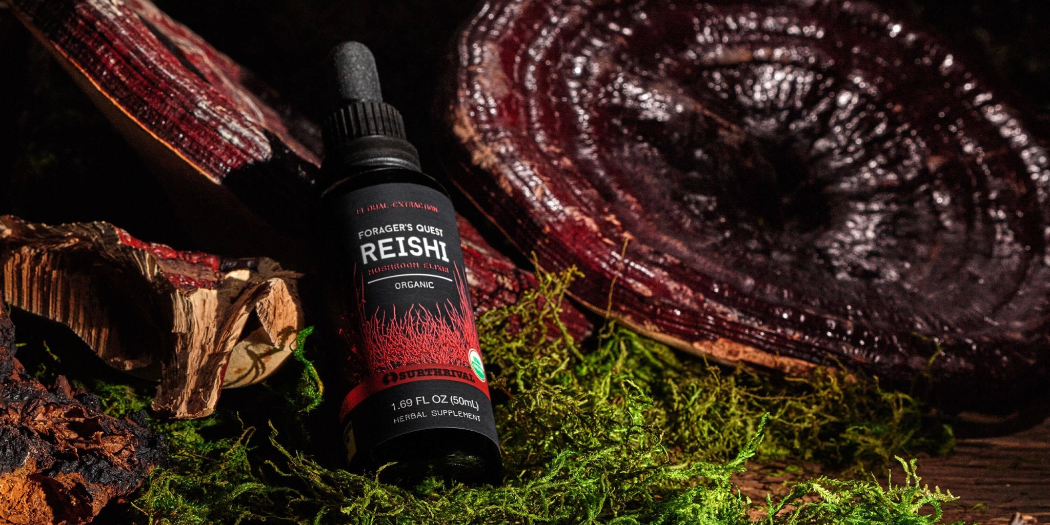 Surthrival Foragers Quest Reishi 50ml - JING Organics