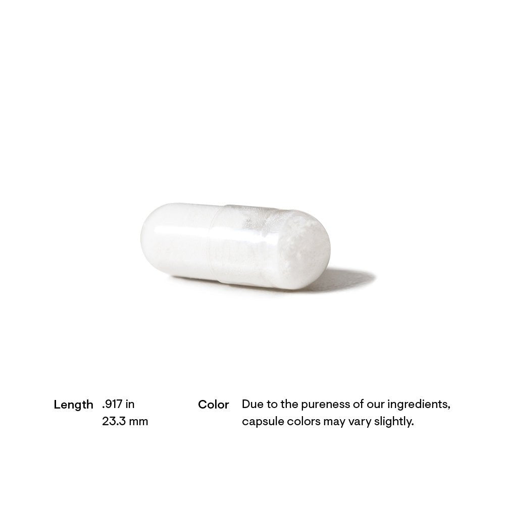 Thorne Acetyl - L - Carnitine 60 Capsules - JING Organics