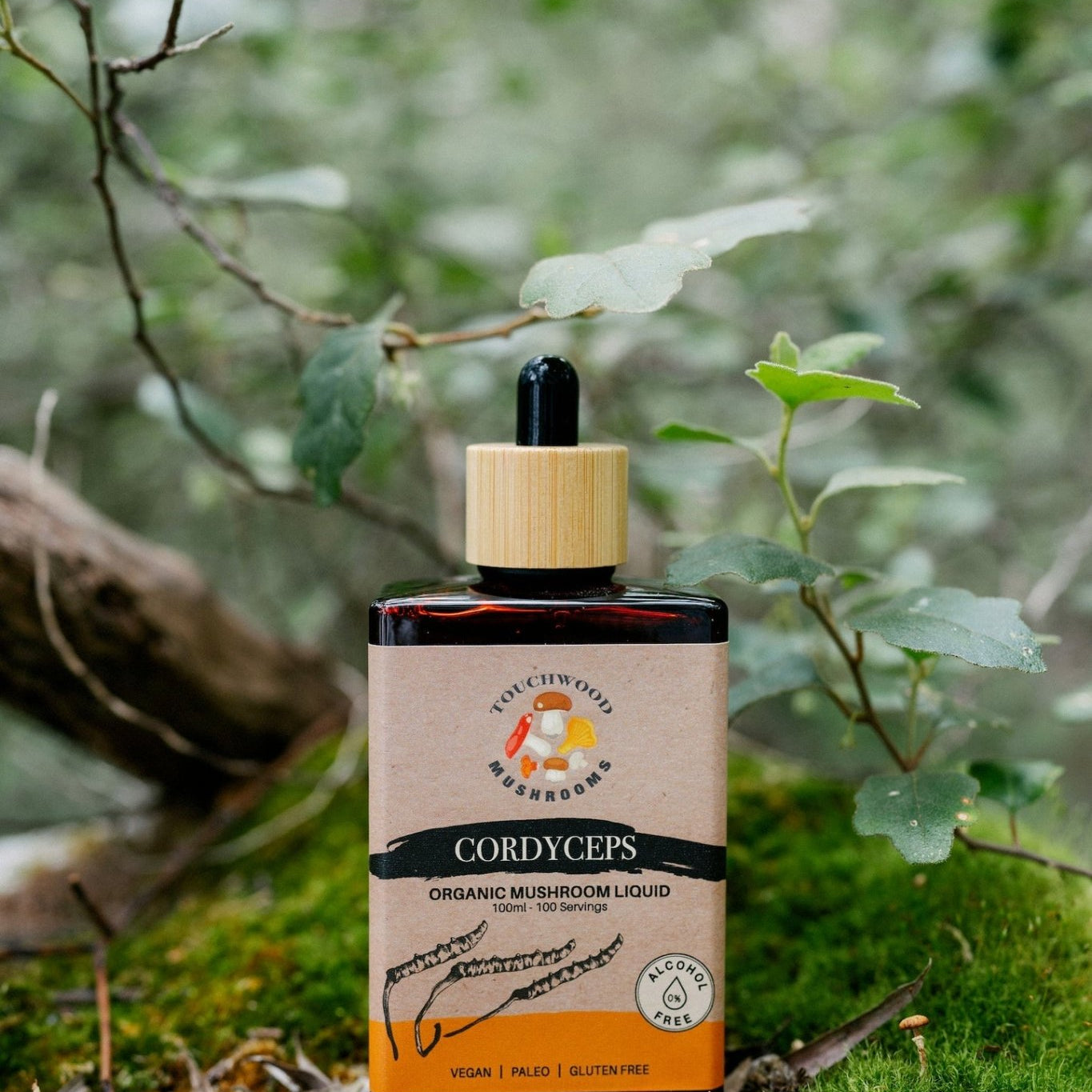 Touchwood Mushrooms Organic Cordyceps 100ml - JING Organics