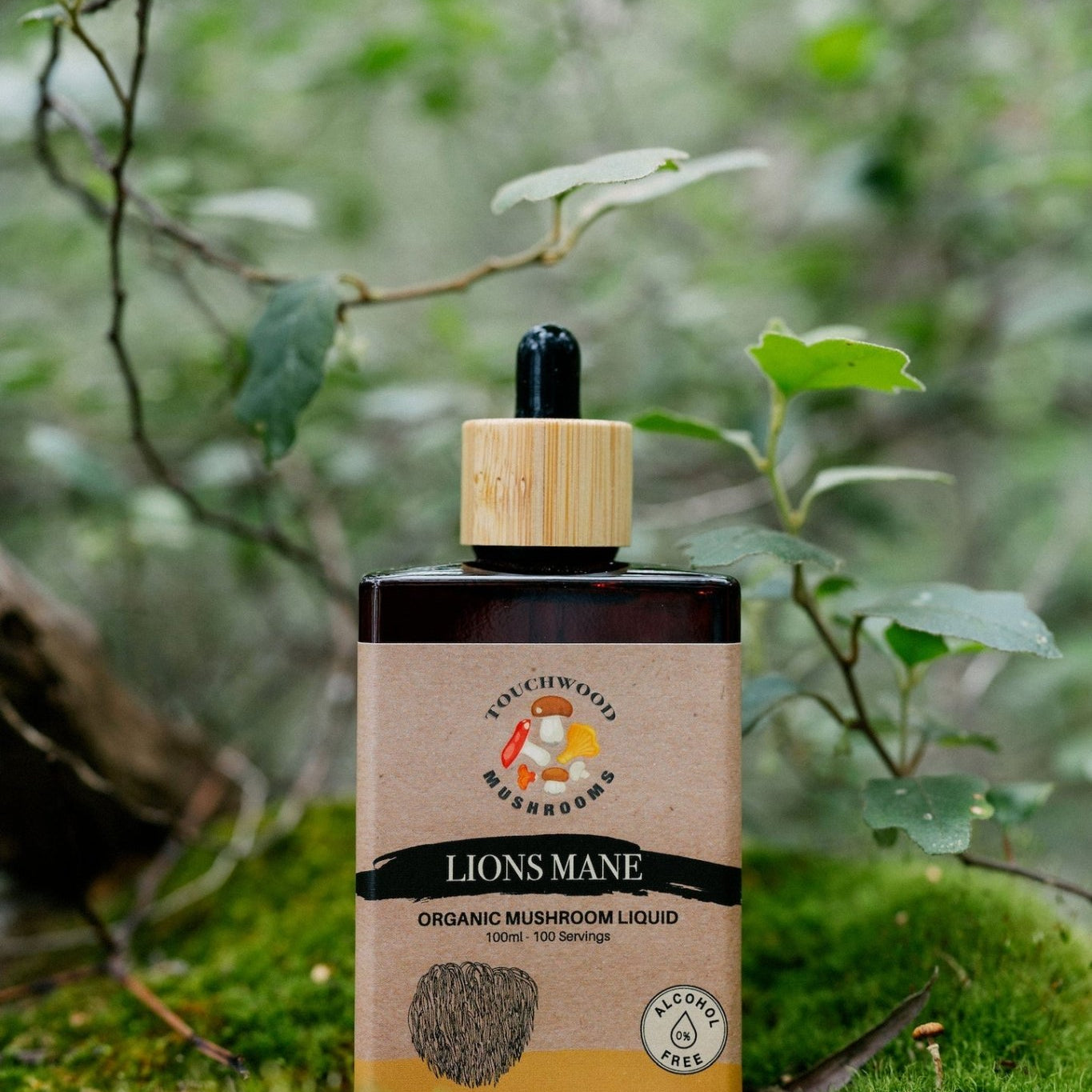 Touchwood Mushrooms Organic Lion's Mane 100ml - JING Organics