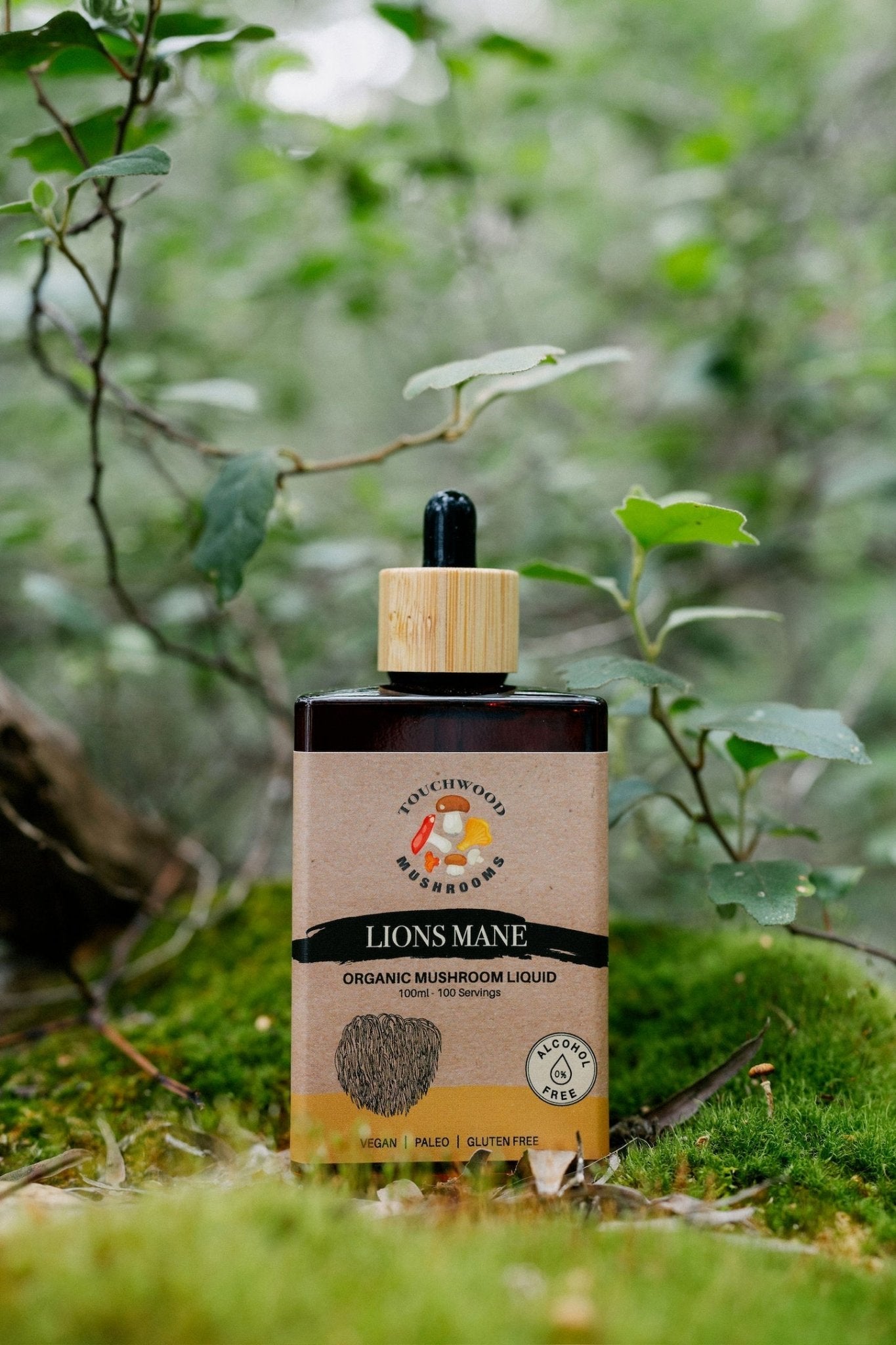 Touchwood Mushrooms Organic Lion's Mane 100ml - JING Organics