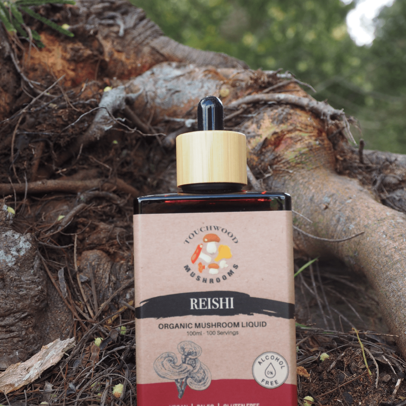 Touchwood Mushrooms Organic Reishi 100ml - JING Organics
